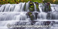 Liffey Falls Tasmania Photo - Gary Bell