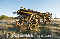 Old Bullock Dray Photo - Gary Bell