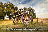 Old Bullock Dray Photo - Gary Bell