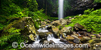 Crystal Shower Falls Dorrigo Photo - Gary Bell