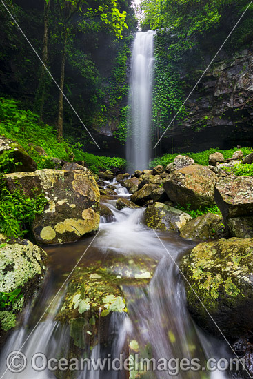 Crystal Shower Falls Dorrigo photo Crystal Shower Falls Dorrigo photo
