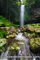 Crystal Shower Falls Dorrigo Photo - Gary Bell