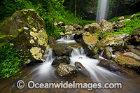 Crystal Shower Falls Dorrigo Photo - Gary Bell