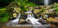 Crystal Shower Falls Dorrigo Photo - Gary Bell