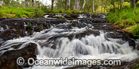 Meldrum Falls Dorrigo Photo - Gary Bell