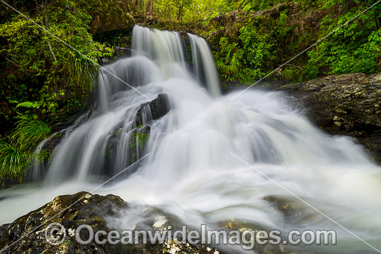 Bangalore Falls Bindarri photo Bangalore Falls Bindarri photo