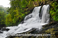 Bangalore Falls Bindarri Photo - Gary Bell