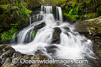 Bangalore Falls Bindarri Photo - Gary Bell