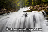 Bangalore Falls Bindarri Photo - Gary Bell