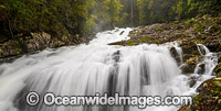 Bangalore Falls Bindarri Photo - Gary Bell