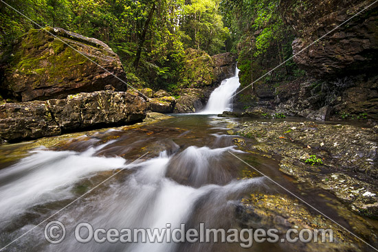 Coachwood Falls Dorrigo photo Coachwood Falls Dorrigo photo
