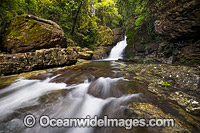Coachwood Falls Dorrigo Photo - Gary Bell