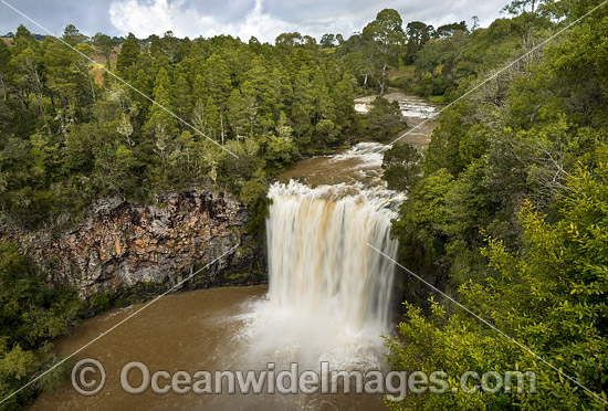 Dangar Falls Dorrigo photo Dangar Falls Dorrigo photo