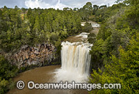 Dangar Falls Dorrigo Photo - Gary Bell