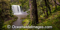 Dangar Falls Dorrigo Photo - Gary Bell