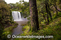 Dangar Falls Dorrigo Photo - Gary Bell