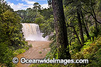 Dangar Falls Dorrigo Photo - Gary Bell