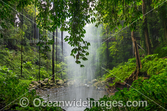 Crystal Shower Falls Dorrigo photo Crystal Shower Falls Dorrigo photo