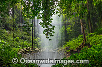 Crystal Shower Falls Dorrigo Photo - Gary Bell