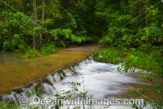 River Crossing Bruxner Park photo River Crossing Bruxner Park photo