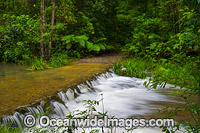 River Crossing Bruxner Park Photo - Gary Bell