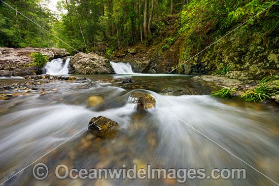 River Crossing Bruxner Park photo