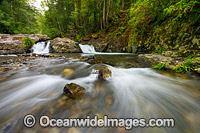 River Crossing Bruxner Park Photo - Gary Bell