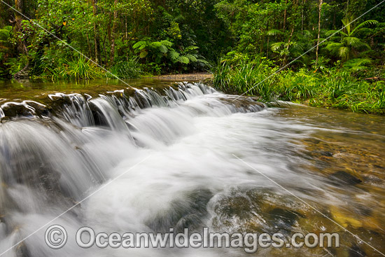 River Crossing Bruxner Park photo River Crossing Bruxner Park photo