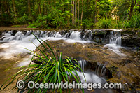 River Crossing Bruxner Park Photo - Gary Bell