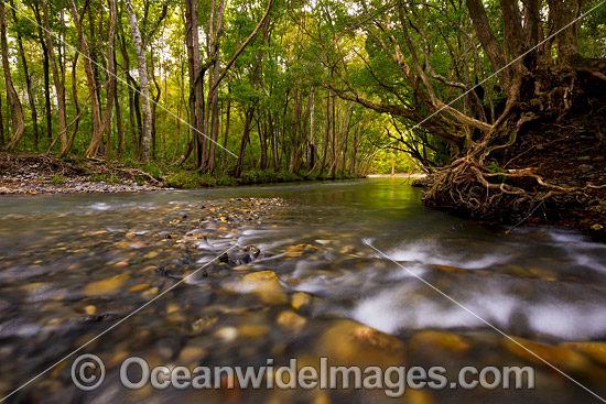 Promised Land Bellingen photo