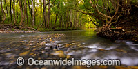 Promised Land Photo - Gary Bell