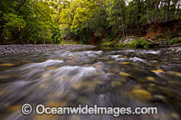 Never Never River Photo - Gary Bell