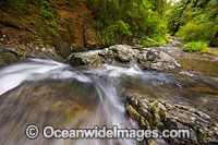 Magic Pools Orara Valley Photo - Gary Bell