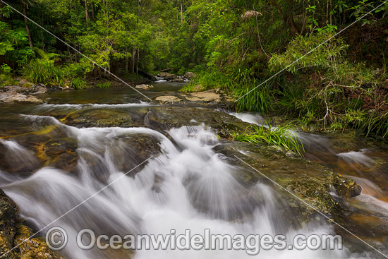Magic Pools Coffs Harbour photo