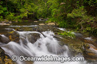 Magic Pools Coffs Harbour Photo - Gary Bell