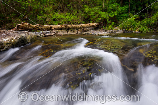 Magic Pools Coffs Harbour photo