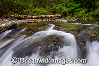 Magic Pools Coffs Harbour Photo - Gary Bell