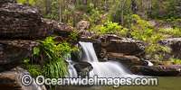 Sherwood Falls Photo - Gary Bell