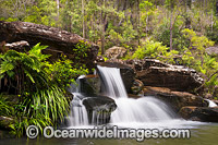 Sherwood Falls Photo - Gary Bell