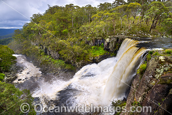 Ebor Falls photo