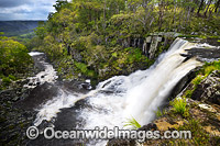 Ebor Falls Photo - Gary Bell