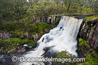 Ebor Falls Photo - Gary Bell