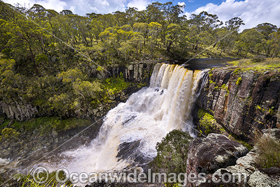 Ebor Falls photo