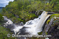 Ebor Falls Photo - Gary Bell