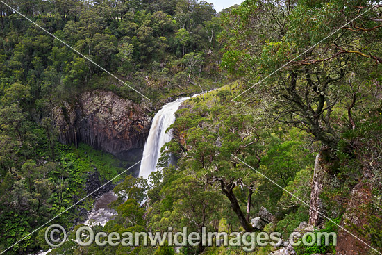 Ebor Falls photo
