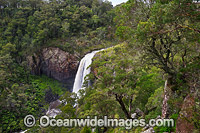 Ebor Falls Photo - Gary Bell