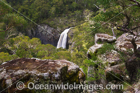 Ebor Falls photo