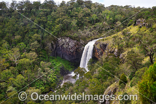 Ebor Falls photo