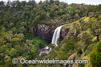 Ebor Falls Photo - Gary Bell