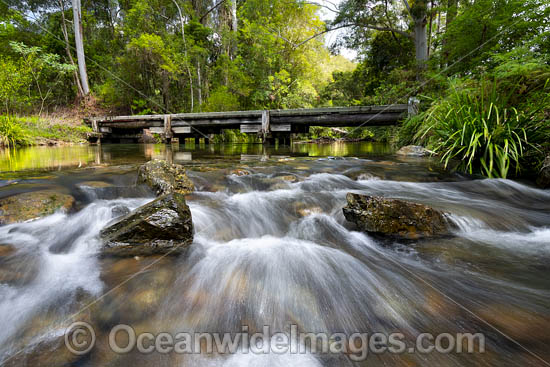 River Crossing Urumbilum River photo
